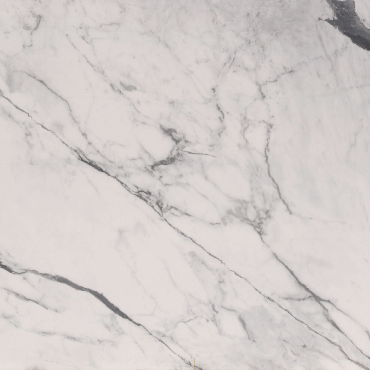 ST Porcelain Statuario